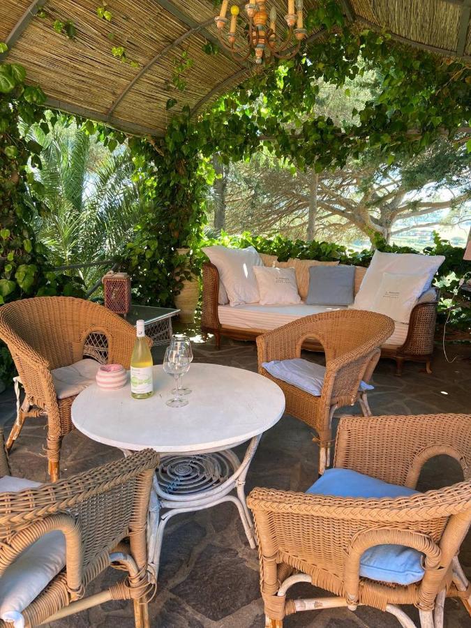 B&B Villa Il Poggetto ヴェントゥリーナ エクステリア 写真
