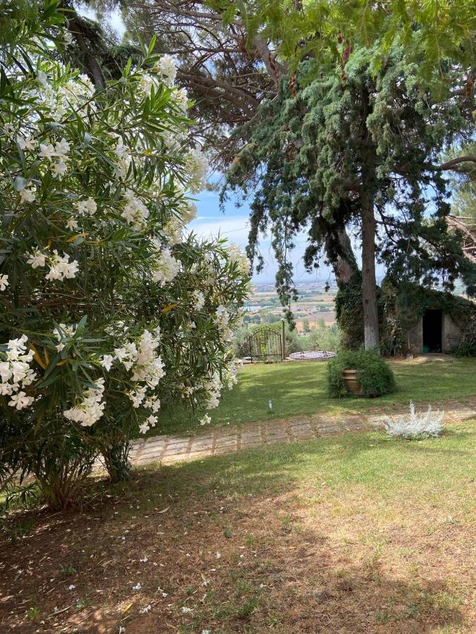 B&B Villa Il Poggetto ヴェントゥリーナ エクステリア 写真
