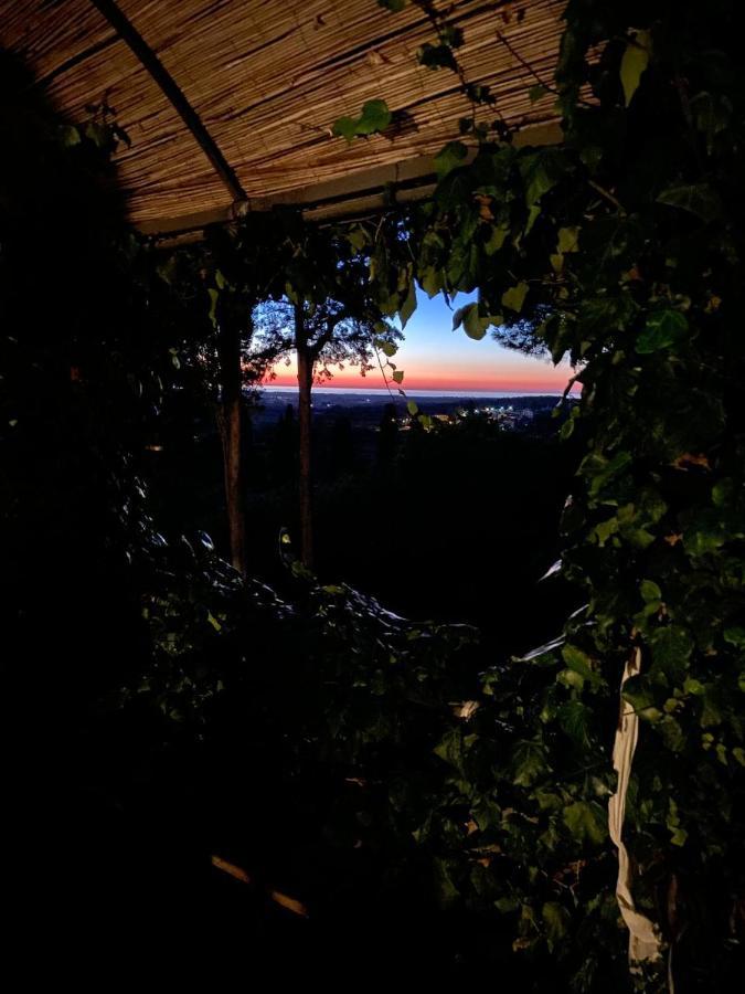 B&B Villa Il Poggetto ヴェントゥリーナ エクステリア 写真