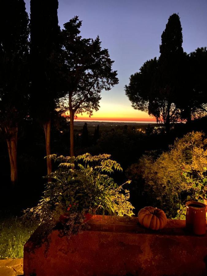 B&B Villa Il Poggetto ヴェントゥリーナ エクステリア 写真