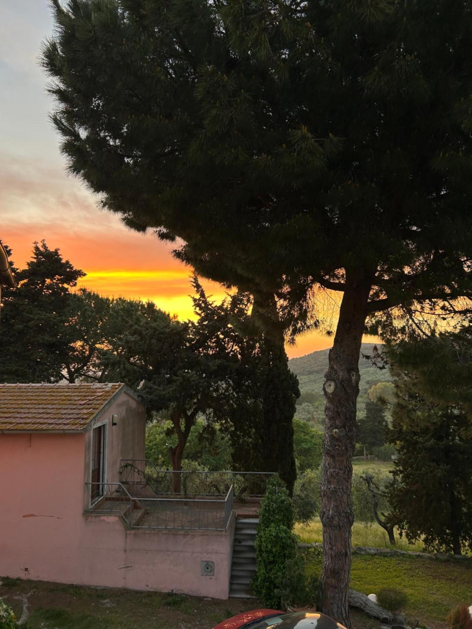 B&B Villa Il Poggetto ヴェントゥリーナ エクステリア 写真