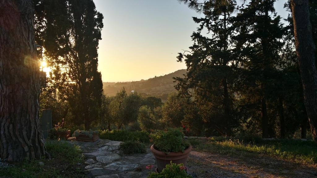 B&B Villa Il Poggetto ヴェントゥリーナ エクステリア 写真