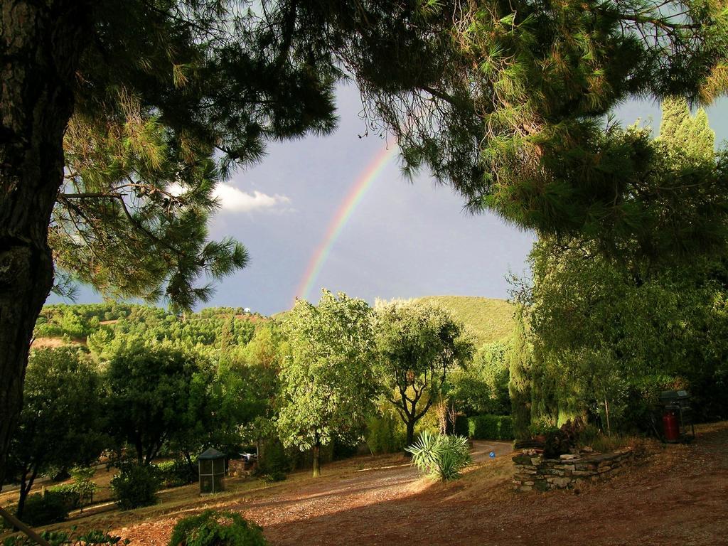 B&B Villa Il Poggetto ヴェントゥリーナ エクステリア 写真